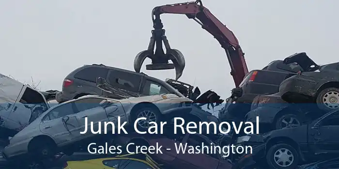 Junk Car Removal Gales Creek - Washington