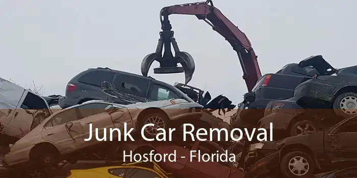 Junk Car Removal Hosford - Florida