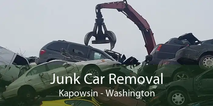 Junk Car Removal Kapowsin - Washington