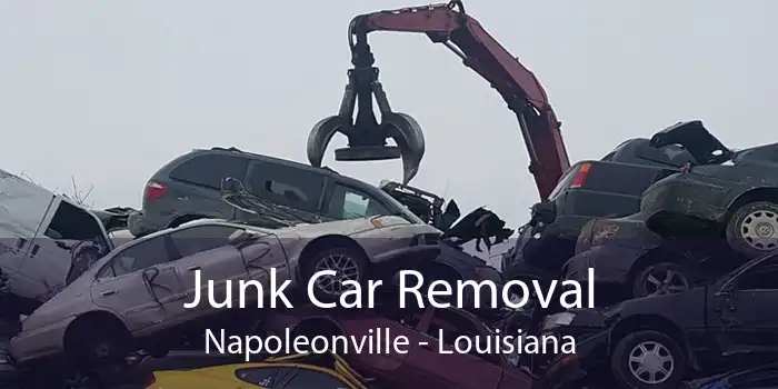 Junk Car Removal Napoleonville - Louisiana