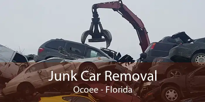 Junk Car Removal Ocoee - Florida