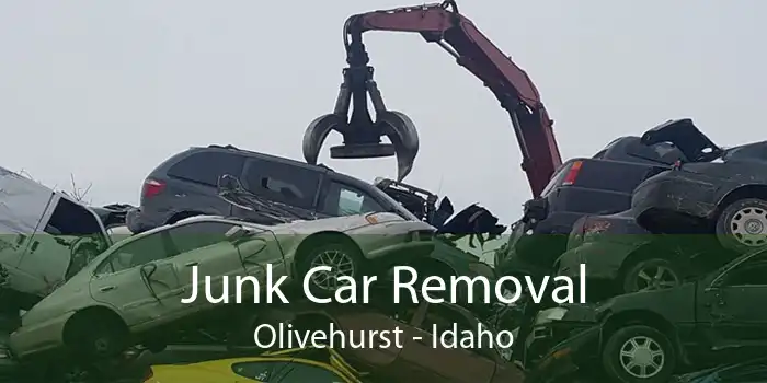 Junk Car Removal Olivehurst - Idaho