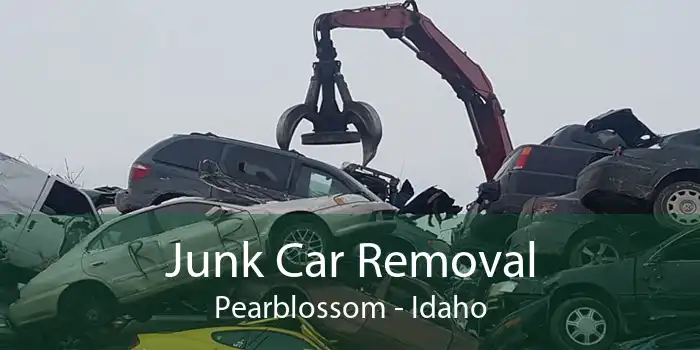 Junk Car Removal Pearblossom - Idaho