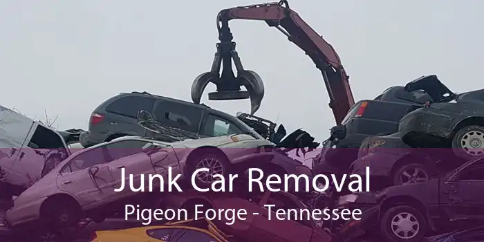 Junk Car Removal Pigeon Forge - Tennessee