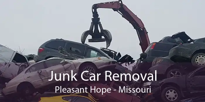 Junk Car Removal Pleasant Hope - Missouri