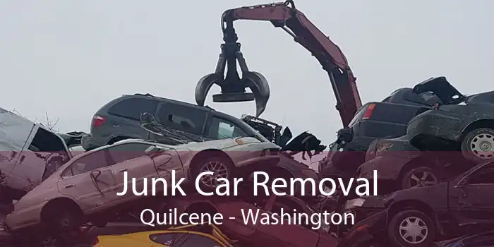 Junk Car Removal Quilcene - Washington
