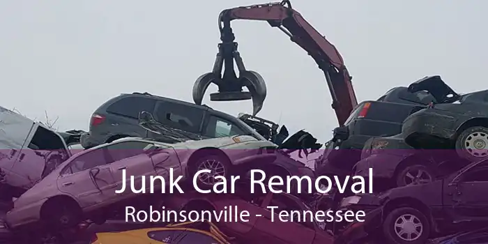 Junk Car Removal Robinsonville - Tennessee