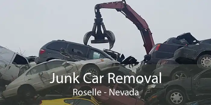 Junk Car Removal Roselle - Nevada