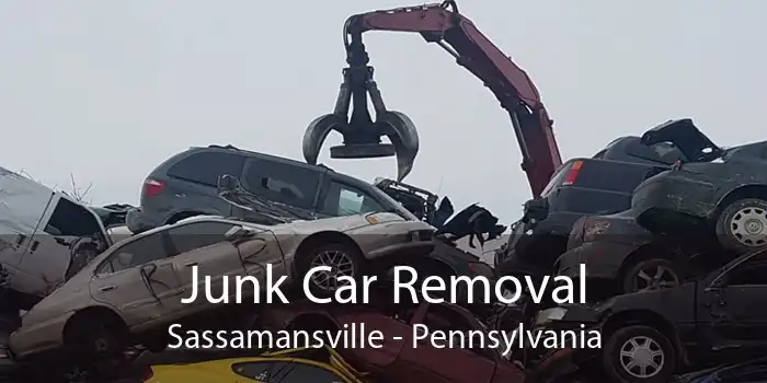 Junk Car Removal Sassamansville - Pennsylvania