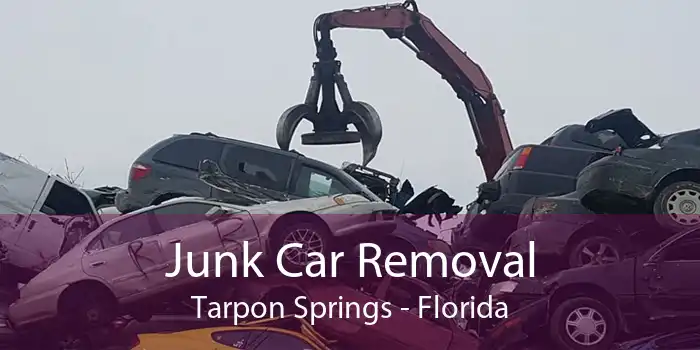 Junk Car Removal Tarpon Springs - Florida