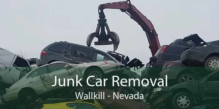 Junk Car Removal Wallkill - Nevada