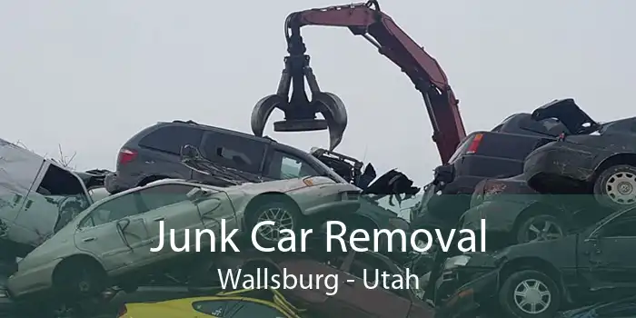 Junk Car Removal Wallsburg - Utah