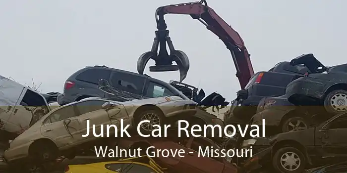 Junk Car Removal Walnut Grove - Missouri
