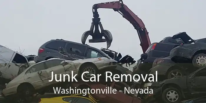 Junk Car Removal Washingtonville - Nevada