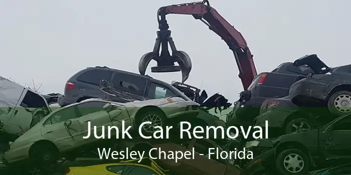 Junk Car Removal Wesley Chapel - Florida