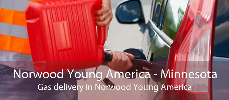 Norwood Young America - Minnesota Gas delivery in Norwood Young America