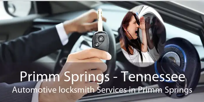 Primm Springs - Tennessee Automotive locksmith Services in Primm Springs