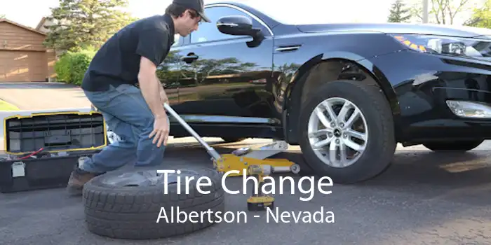 Tire Change Albertson - Nevada