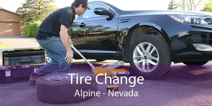 Tire Change Alpine - Nevada