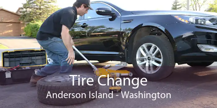Tire Change Anderson Island - Washington
