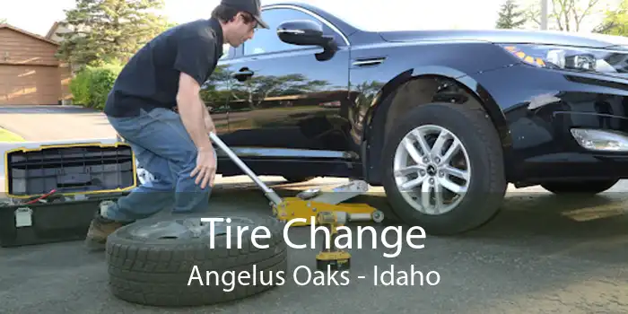 Tire Change Angelus Oaks - Idaho
