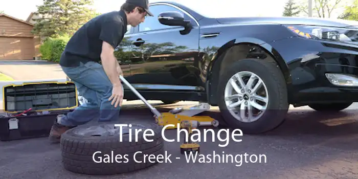 Tire Change Gales Creek - Washington