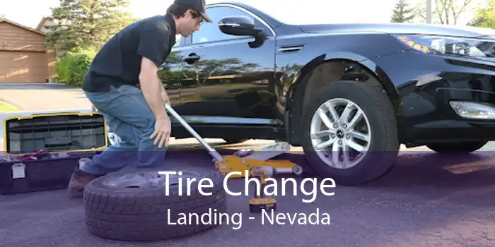 Tire Change Landing - Nevada