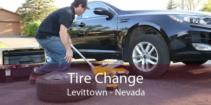 Tire Change Levittown - Nevada