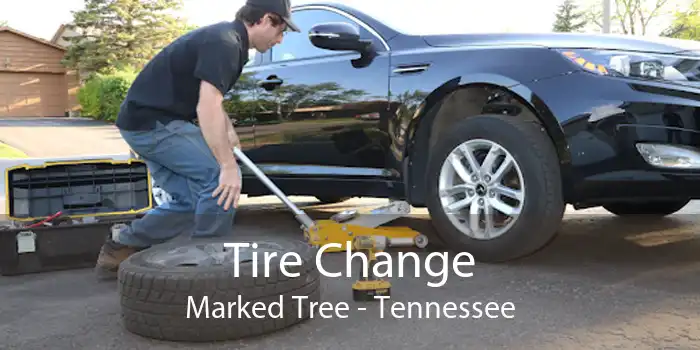 Tire Change Marked Tree - Tennessee