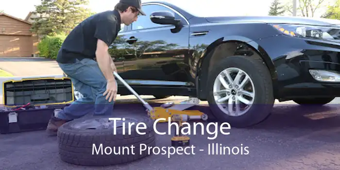 Tire Change Mount Prospect - Illinois