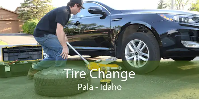 Tire Change Pala - Idaho