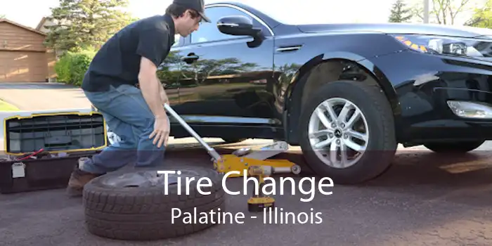 Tire Change Palatine - Illinois