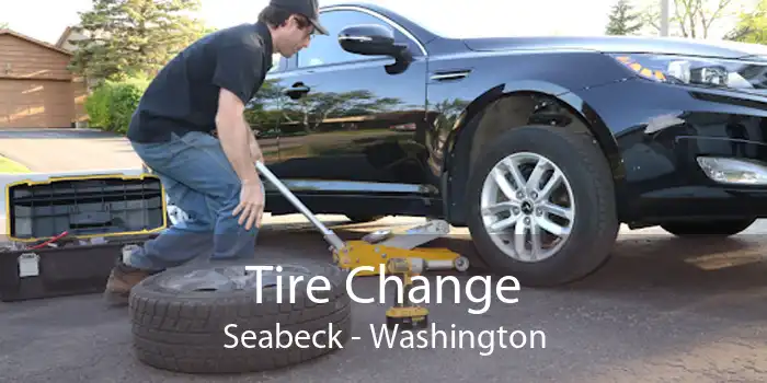 Tire Change Seabeck - Washington
