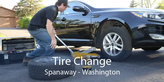 Tire Change Spanaway - Washington