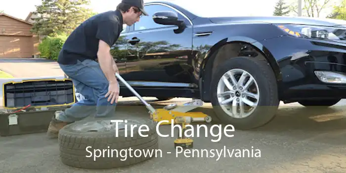 Tire Change Springtown - Pennsylvania