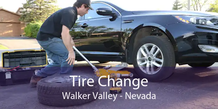 Tire Change Walker Valley - Nevada