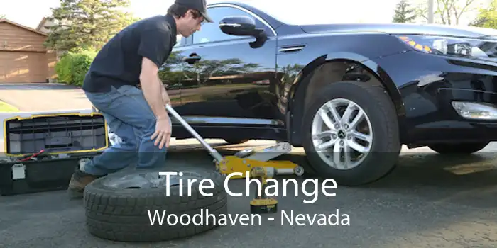 Tire Change Woodhaven - Nevada