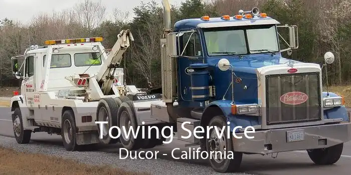 Towing Service Ducor - California