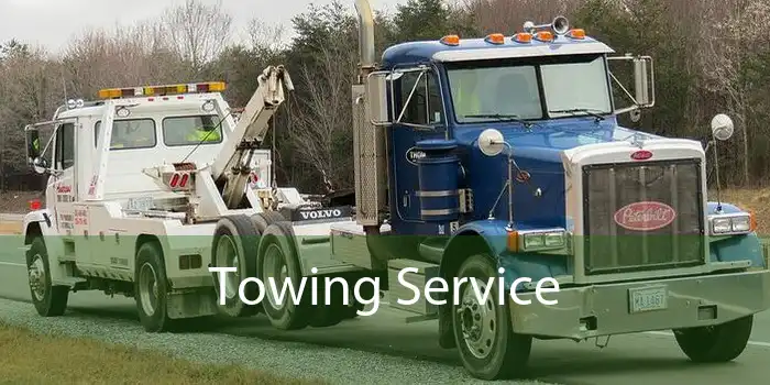 Towing Service 