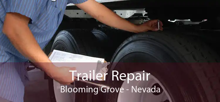 Trailer Repair Blooming Grove - Nevada