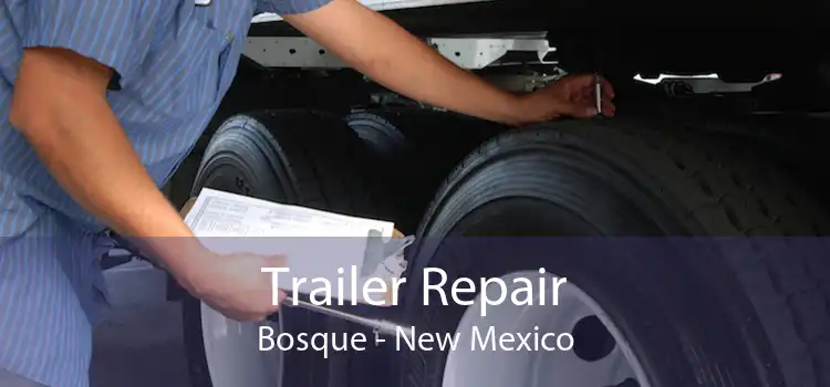 Trailer Repair Bosque - New Mexico