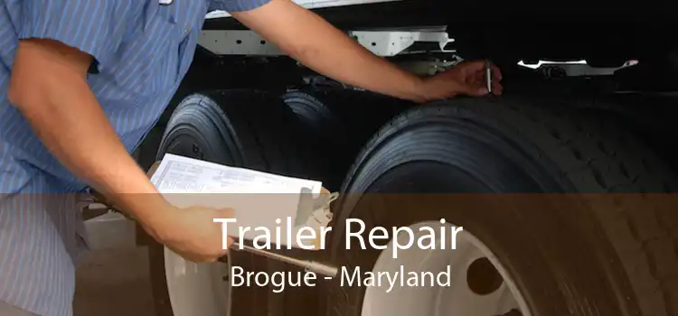 Trailer Repair Brogue - Maryland
