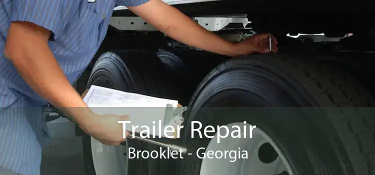 Trailer Repair Brooklet - Georgia
