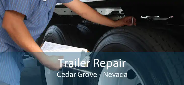 Trailer Repair Cedar Grove - Nevada