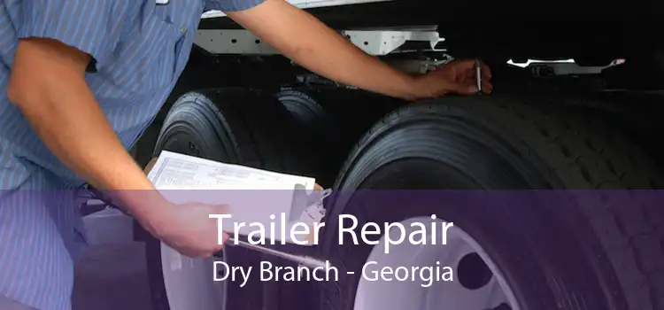 Trailer Repair Dry Branch - Georgia