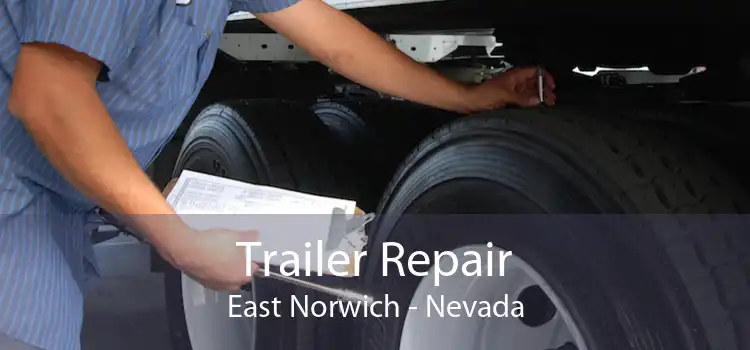 Trailer Repair East Norwich - Nevada