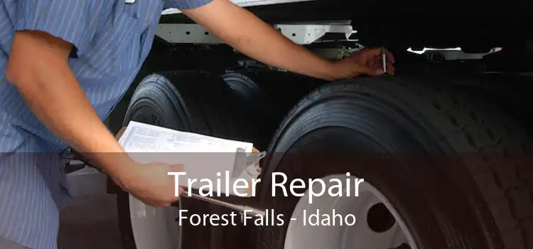 Trailer Repair Forest Falls - Idaho