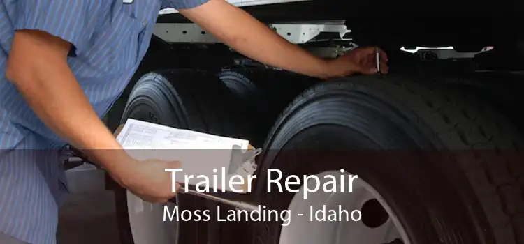 Trailer Repair Moss Landing - Idaho