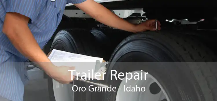 Trailer Repair Oro Grande - Idaho