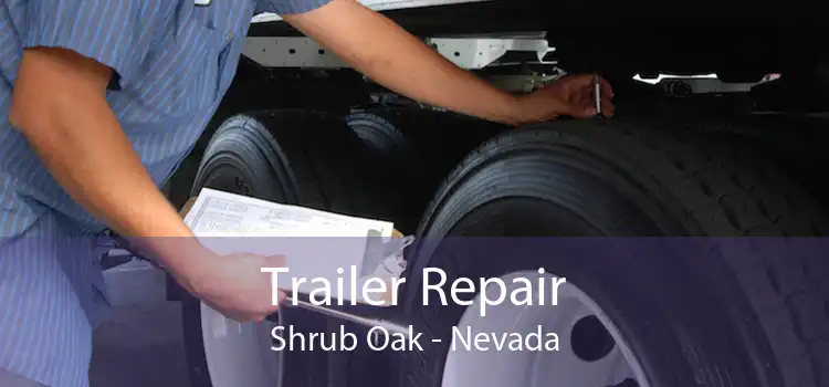 Trailer Repair Shrub Oak - Nevada